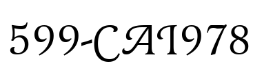 599-CAI978