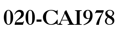 020-CAI978 Font Image