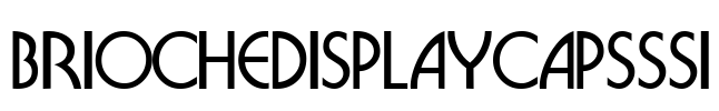 BriocheDisplayCapsSSi