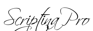 Scriptina Pro
