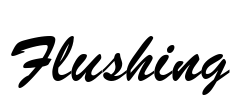 Flushing Font Image