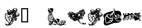KR Oaken Font Image