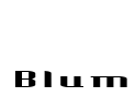 Blum