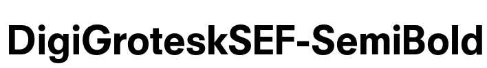 DigiGroteskSEF-SemiBold
