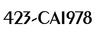 423-CAI978