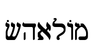 Shalom