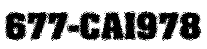 677-CAI978