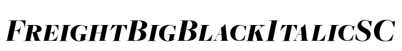 FreightBigBlackItalicSC