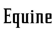 Equine Font Image