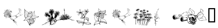wmflowers2