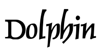 Dolphin Font Image