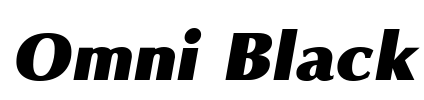 Omni Black Font Image