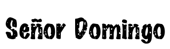 Señor Domingo