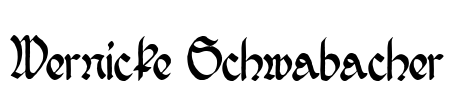 Wernicke Schwabacher Font Image