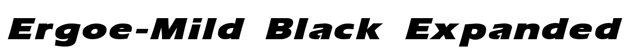 Ergoe-Mild Black Expanded Font Image