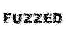 Fuzzed