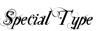 Special Type Font Image