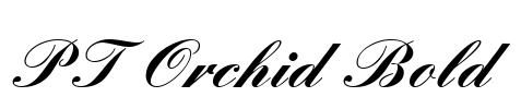 PT Orchid Bold