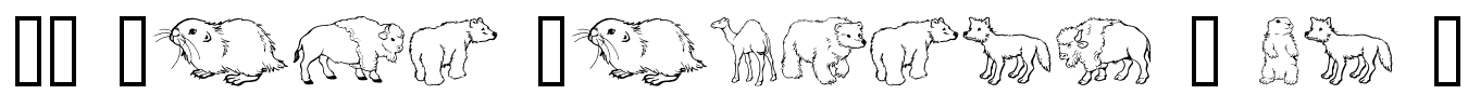 GE Wild Kingdom A to D