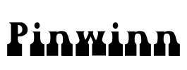 Pinwinn