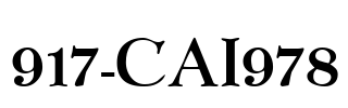 917-CAI978
