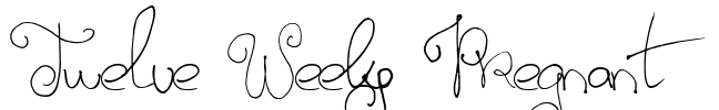 Twelve Weeks Pregnant Font Image