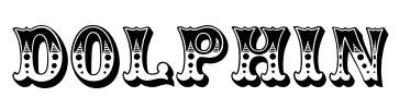 Dolphin