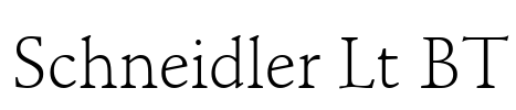 Schneidler Lt BT Font Image