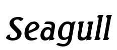 Seagull