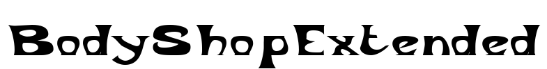 BodyShopExtended