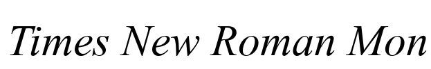 Times New Roman Mon Font Image