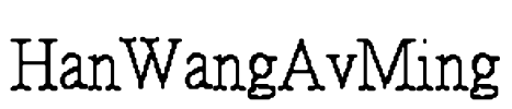 HanWangAvMing