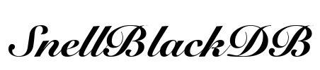 SnellBlackDB Font Image