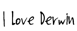 I Love Derwin Font Image