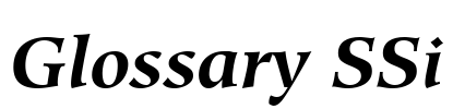 Glossary SSi