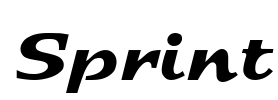 Sprint Font Image