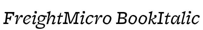 FreightMicro BookItalic