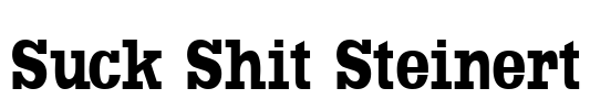 Suck Shit Steinert Font Image