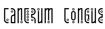 Tantrum Tongue Font Image