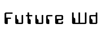 Future Wd
