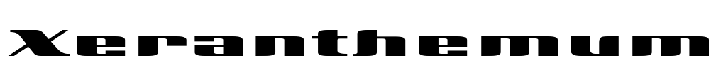 Xeranthemum Font Image