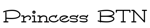 Princess BTN Font Image