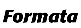 Formata Font Image