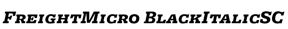 FreightMicro BlackItalicSC Font Image