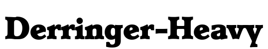 Derringer-Heavy