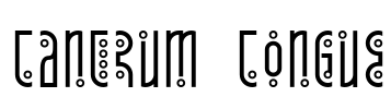 Tantrum Tongue Font Image