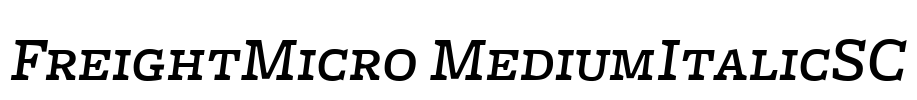 FreightMicro MediumItalicSC