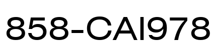 858-CAI978