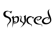 Spyced Font Image