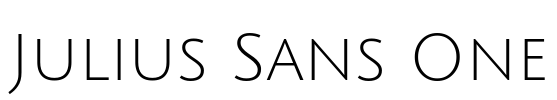 Julius Sans One